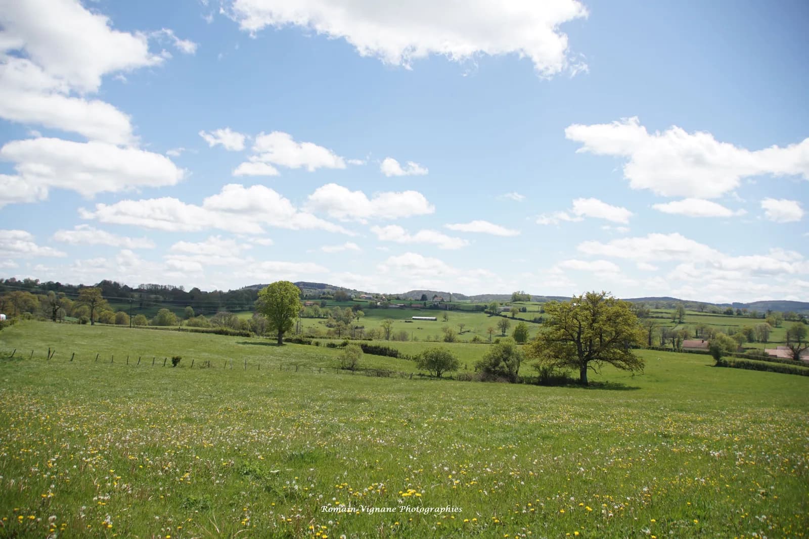 Prairie fleurie et bocage vallonné de La Crouzille sous un ciel de printemps